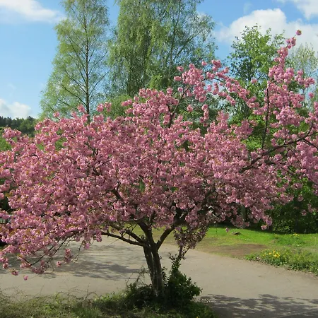Хостел Stiftsberg - Bildungs- Und Freizeitzentrum