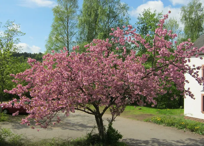 Vandrarhem Stiftsberg - Bildungs- Und Freizeitzentrum